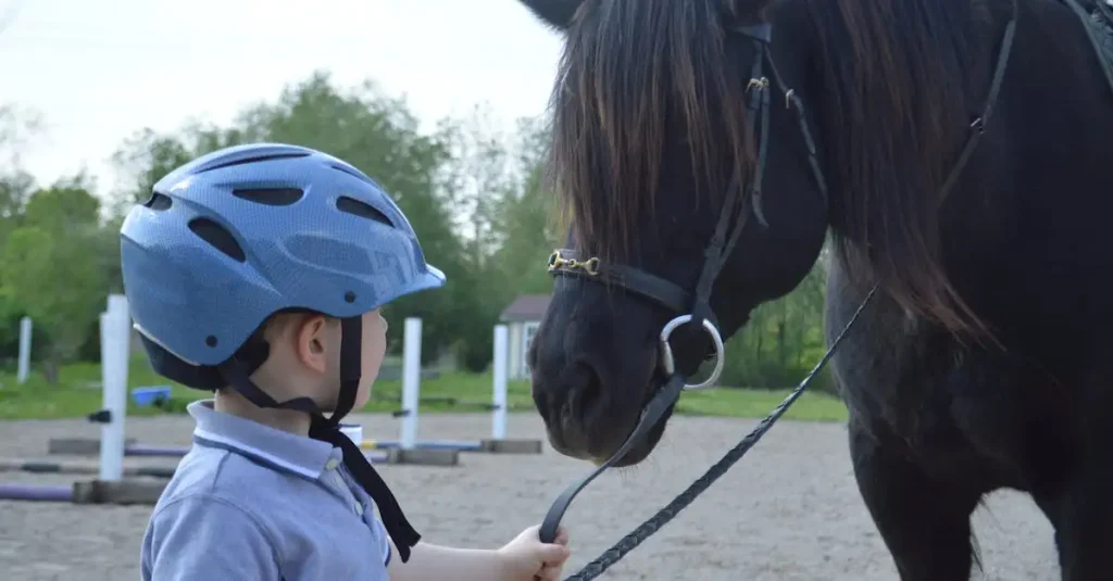 Hoe werden paarden getraind voor de strijd? Ontdek het hier!