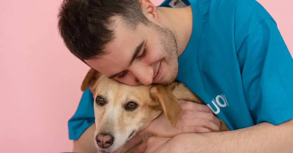 Hoe worden honden geadopteerd door opvangorganisaties?