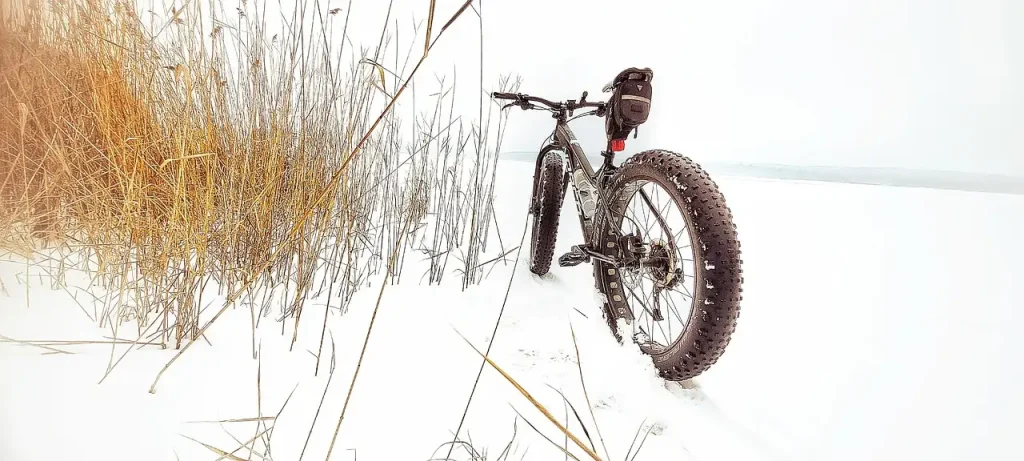 Hoeveel weegt een fatbike