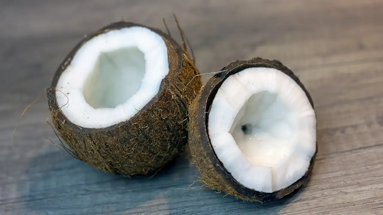 Is gedroogde kokos gezond