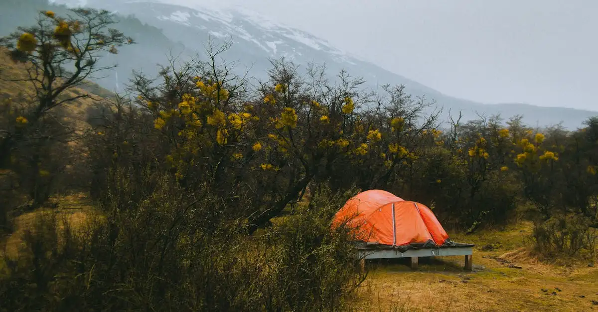 Waar bevindt zich het nationale park Torres del Paine?