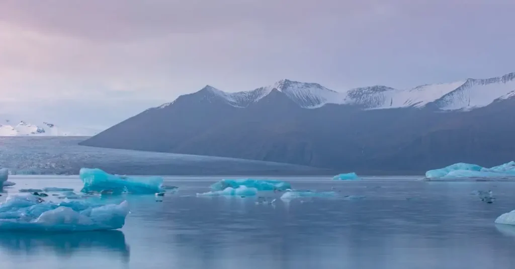 Waar kun je gletsjers in Northeast Greenland National Park bezoeken?