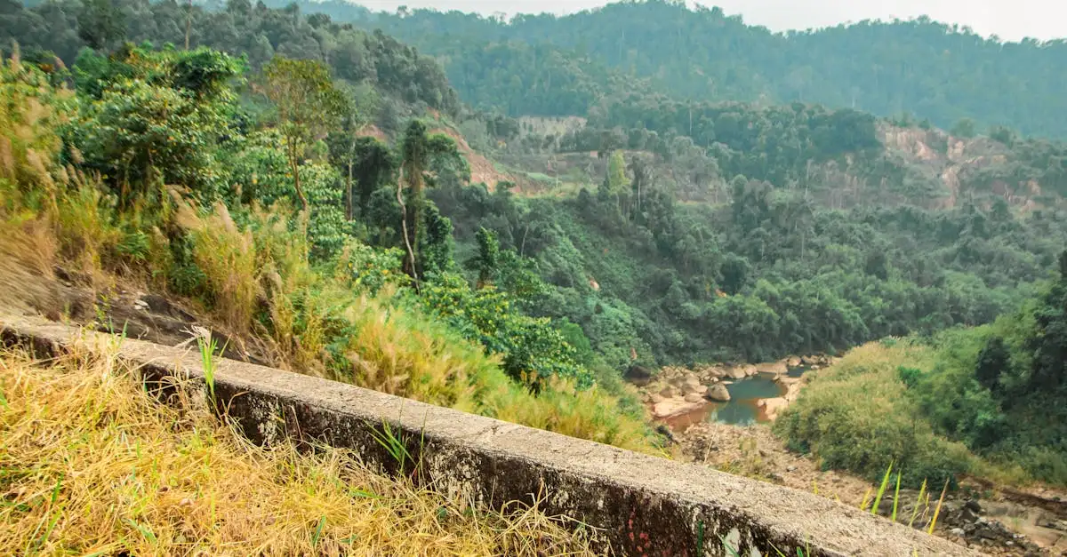 Waar te verkennen in de ruige wildernis van Daintree?