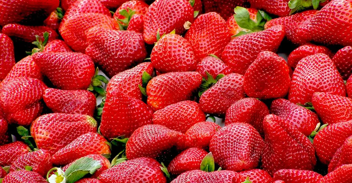 Waar zitten de meeste vitamine c in