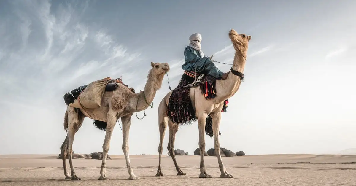 Waarom is de Sahara-woestijn in Algerije zo indrukwekkend?