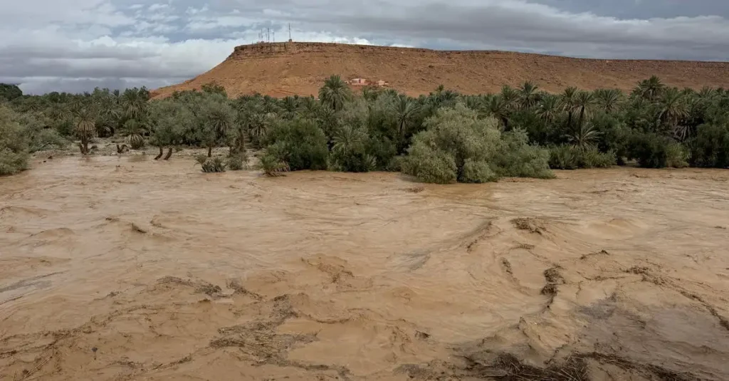 Waarom was cycloon Idai in 2019 zo'n grote ramp voor Afrika?