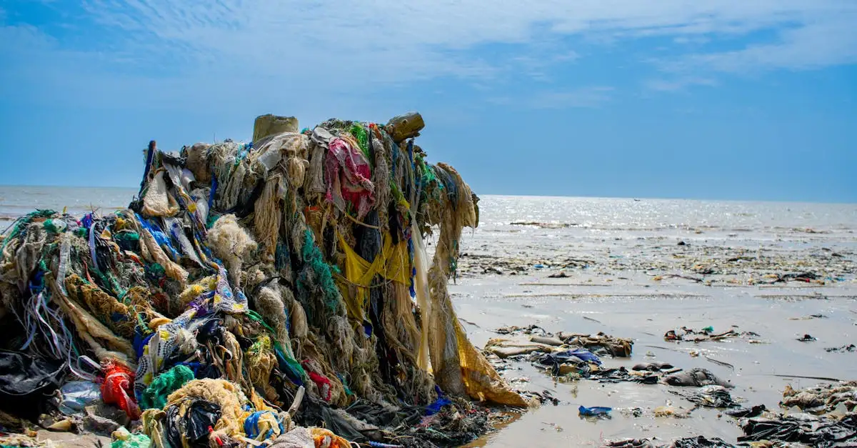 Waarom was cycloon Idai in 2019 zo'n grote ramp voor Afrika?
