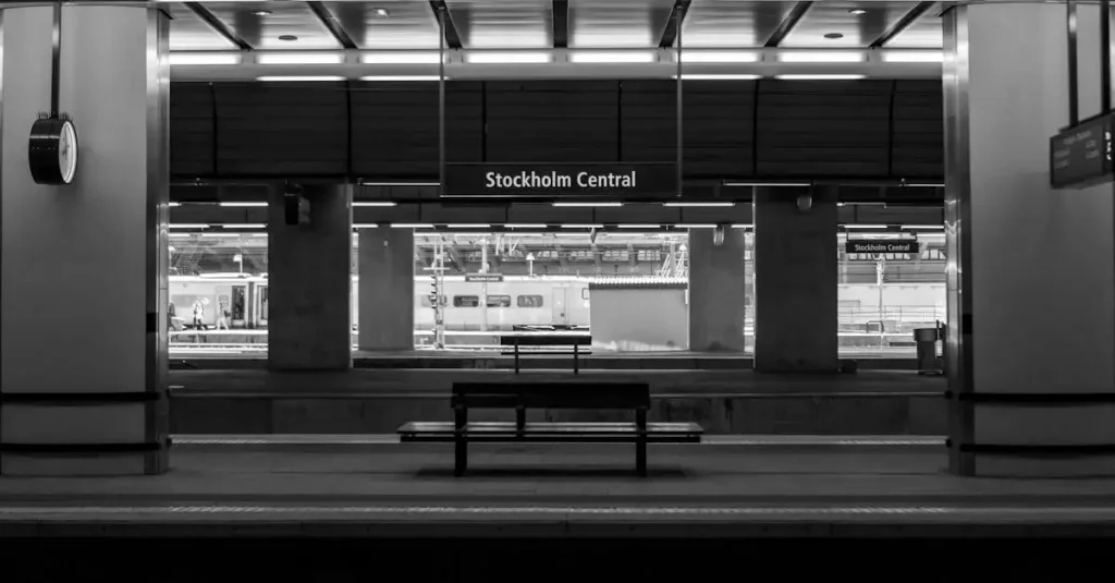 Wat is de invloed van privatisering op de spoorwegen?