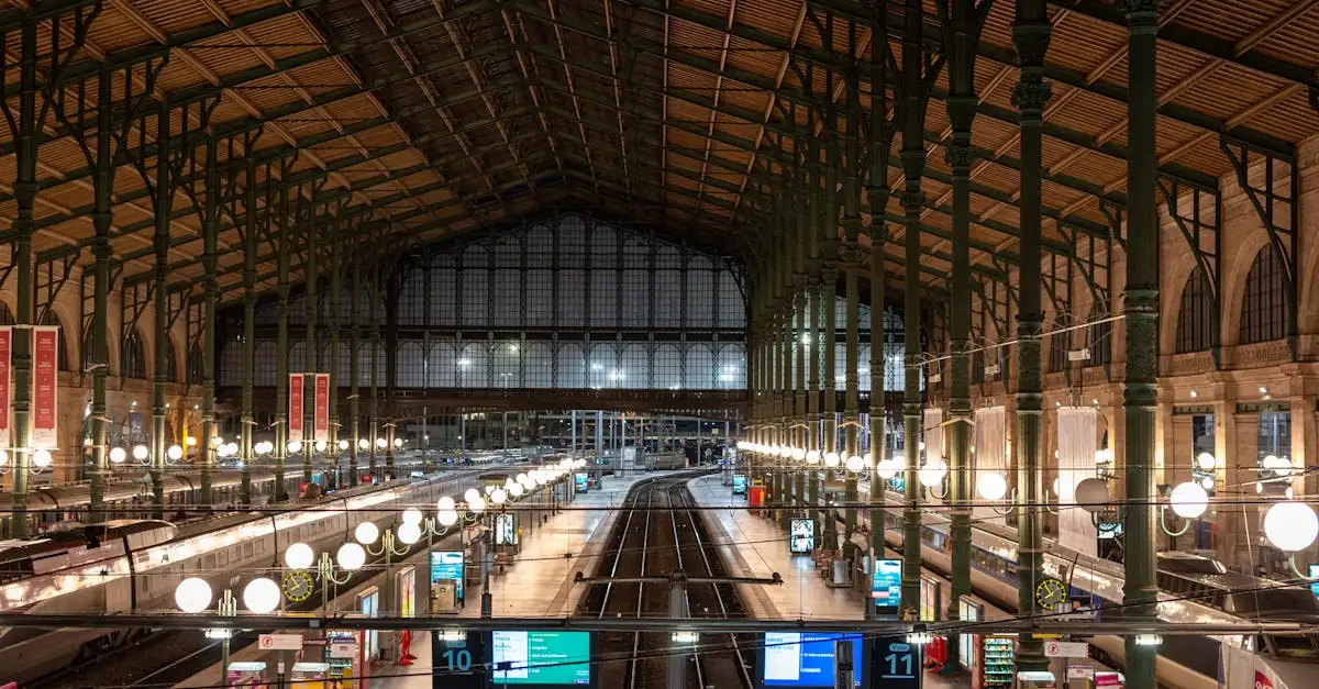 Wat is de invloed van privatisering op de spoorwegen?