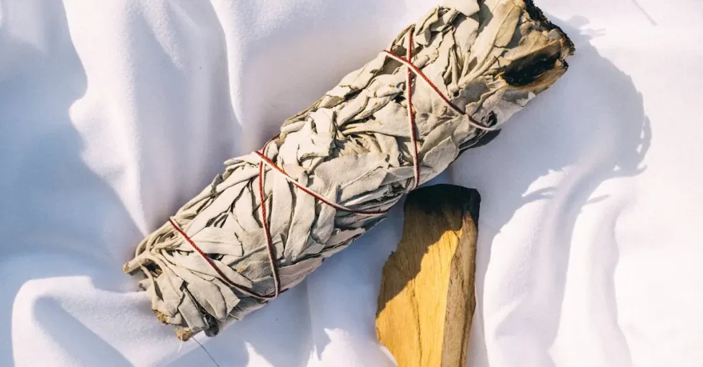 Wat is de rol van salie in Indiaanse ceremonies?