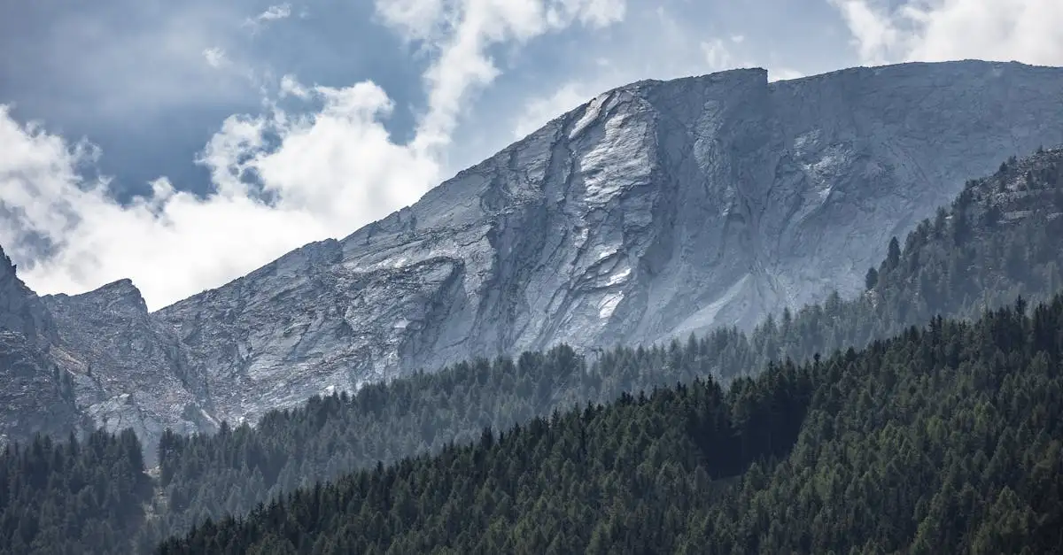 Wat is het Gran Paradiso National Park in Italië?