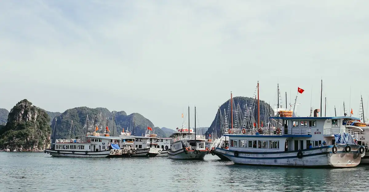 Wat maakt Halong Bay in Vietnam zo beroemd?