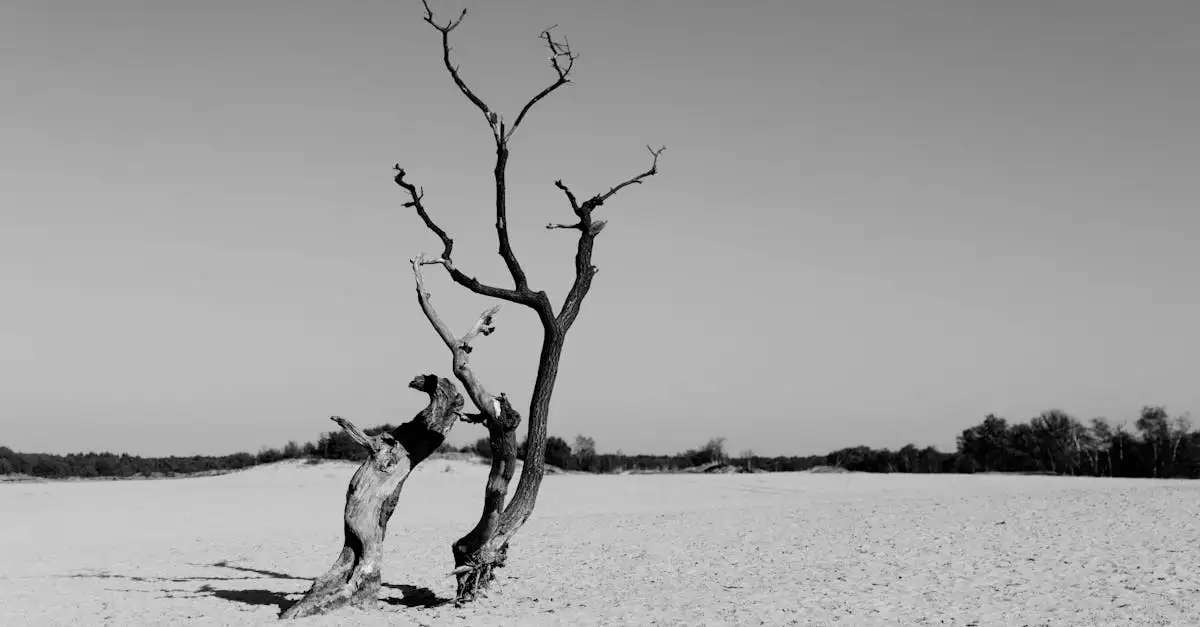 Wat maakt Lake Eyre in Australië zo uniek ondanks droogte?