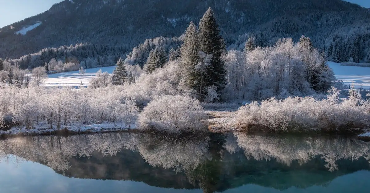 Wat maakt Urho Kekkonen National Park uniek in Finland?