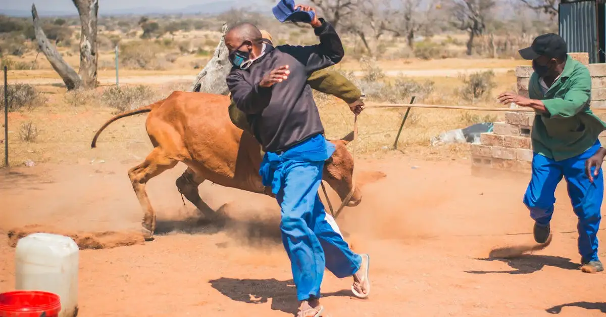 Wat te doen in Botswana: Activiteiten, Cultuur en Evenementen?