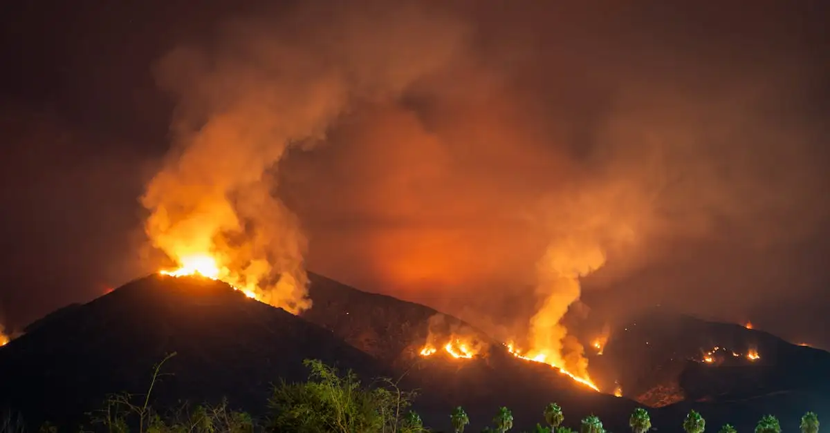 Wat veroorzaakte de bosbranden in Californië 2018?