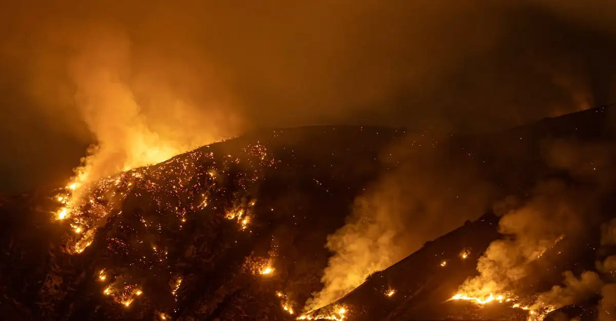 Wat veroorzaakte de bosbranden in Californië 2018?