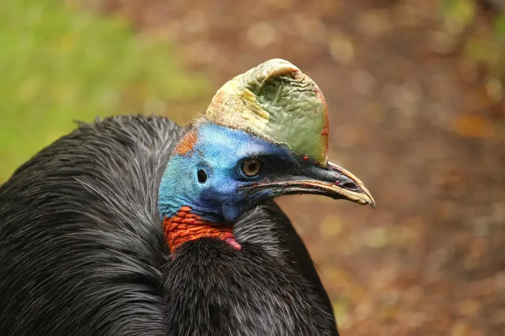 Wat zijn de top 3 bezienswaardigheden in Papoea-Nieuw-Guinea?