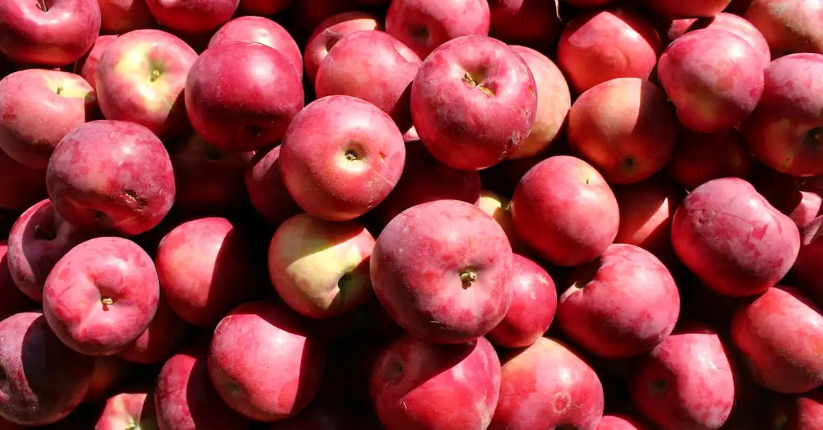 Wat zijn de top 3 culinaire specialiteiten in Vermont?