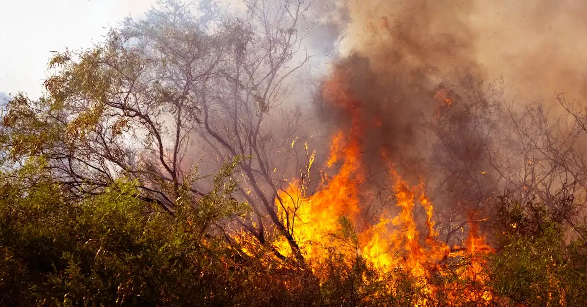 Welke Belgische filosoof sprak over de ecologische crisis?