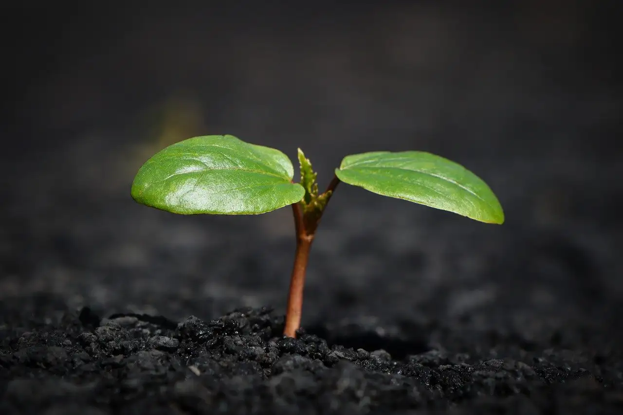 Welke godin staat bekend als de aarde en moeder van de natuur?