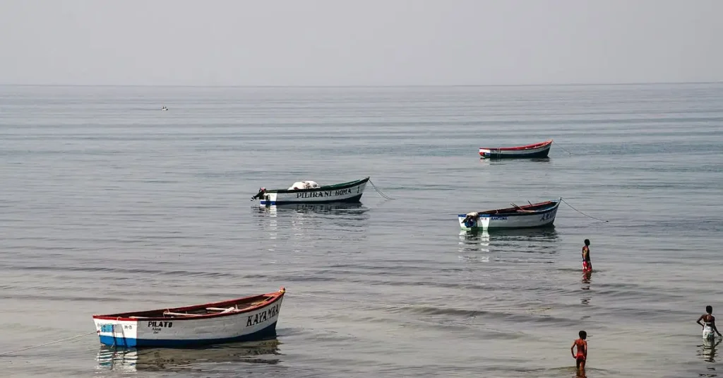 Welke landen grenzen aan Lake Malawi in Afrika?