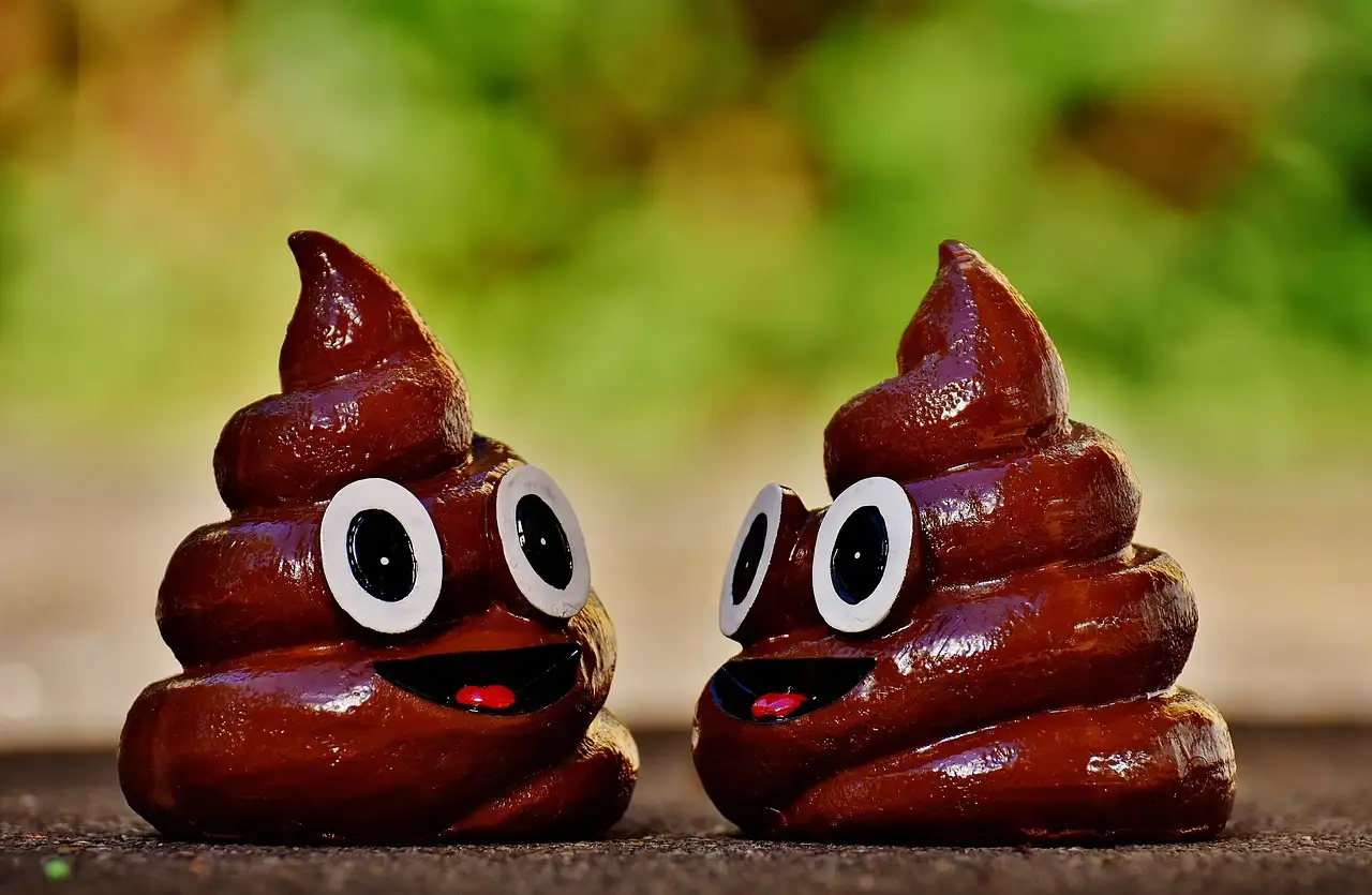 Welke ontlasting is niet goed?