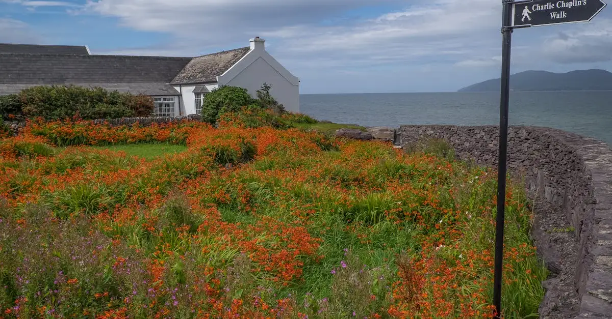 Welke regio beschermt de Ring of Kerry in Ierland?