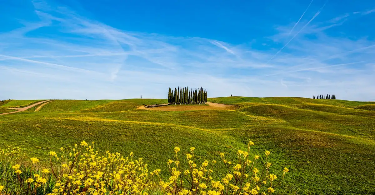 Welke regio in Italië herbergt het Val d’Orcia Park?