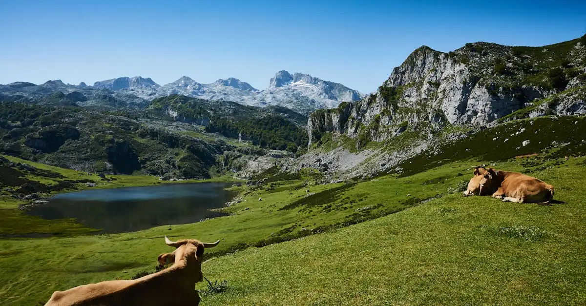 Welke regio in Spanje heeft de Picos de Europa?