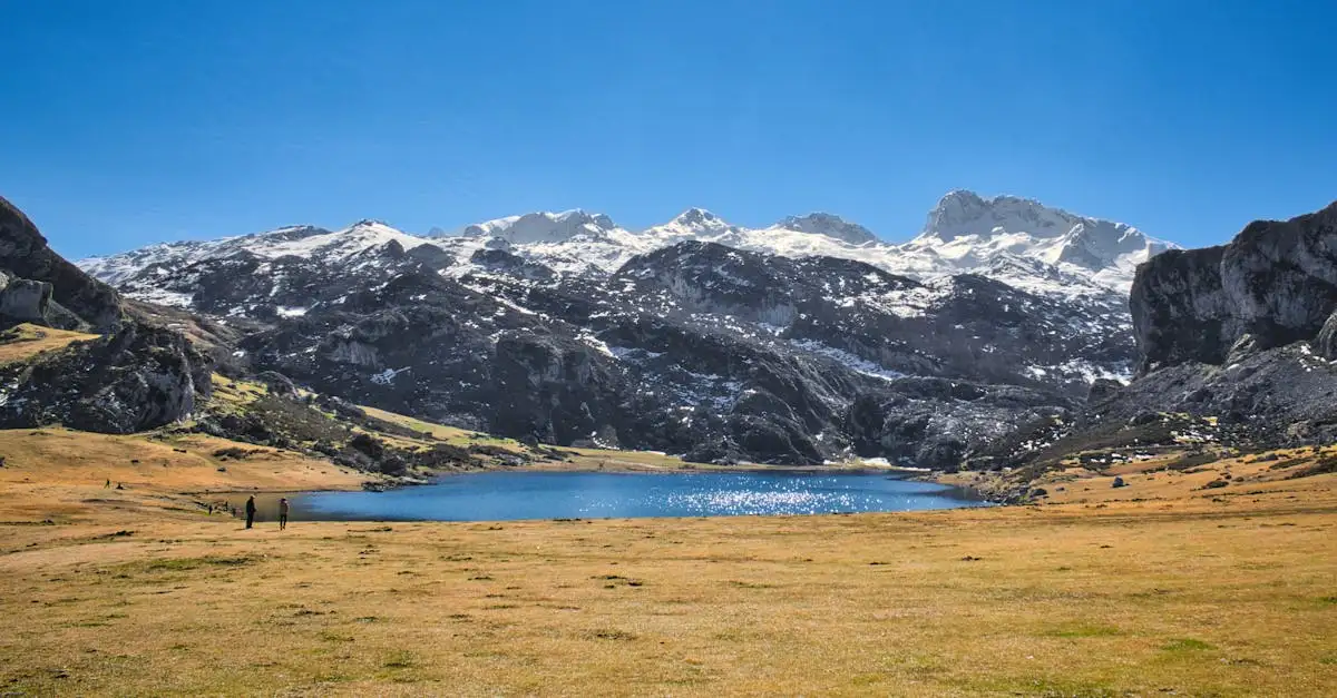 Welke regio in Spanje heeft de Picos de Europa?