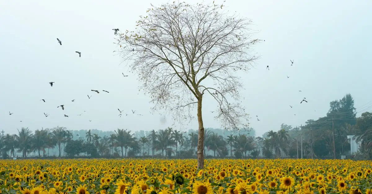 Welke vogels zijn belangrijk voor de landbouw?