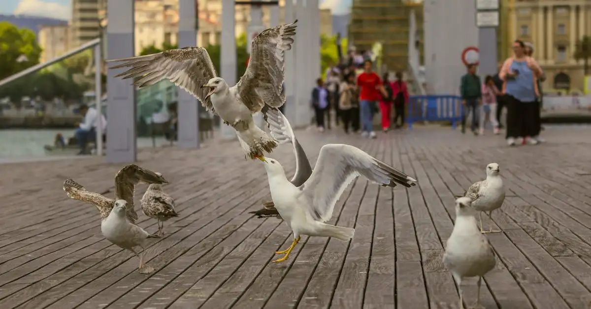 Welke vogels zijn belangrijk voor het verspreiden van zaden?