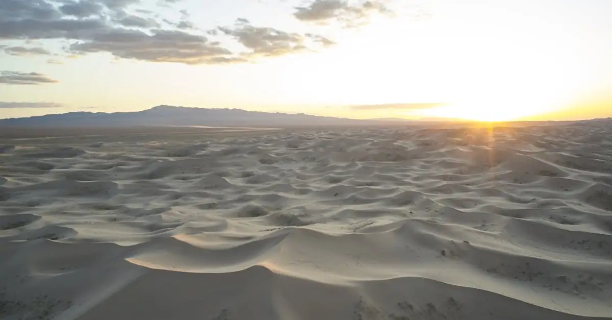 Welke woestijn in Mongolië heeft zandduinen en bergen?