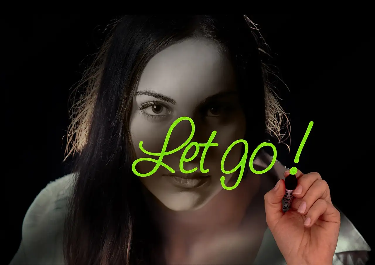 Wie zong Let It Go in Frozen?