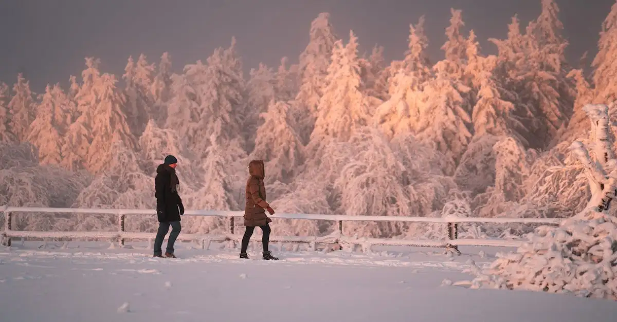 Bij welke temperatuur doe je een winterjas aan? Ontdek het hier!