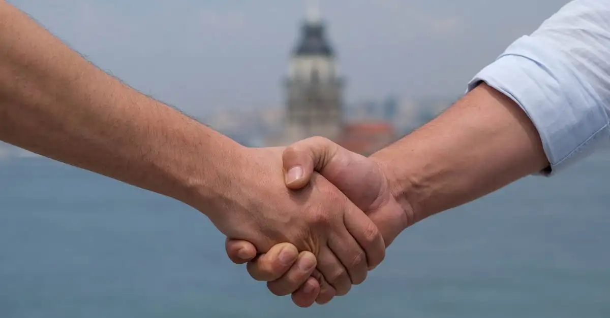 Hoe functioneerden diplomatie en allianties in het Ottomaanse Rijk?