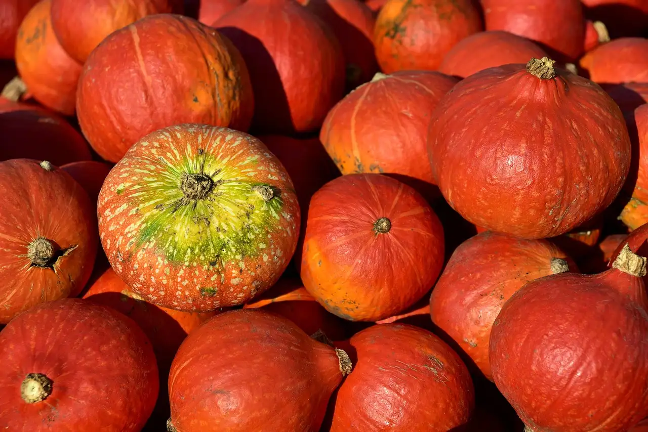 Hoe lang pompoen koken?