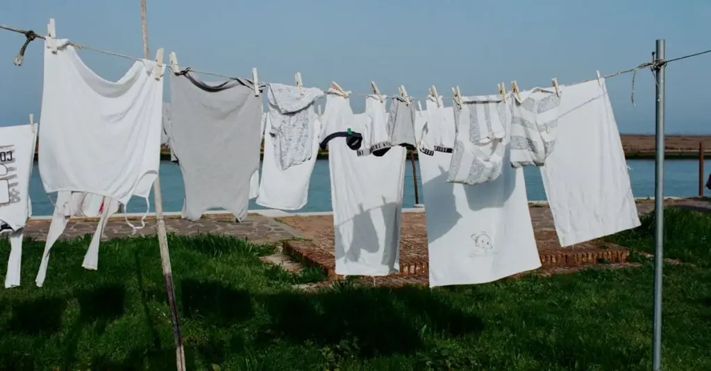 Hoe wassen Egyptenaren hun kleren in de Nijl?