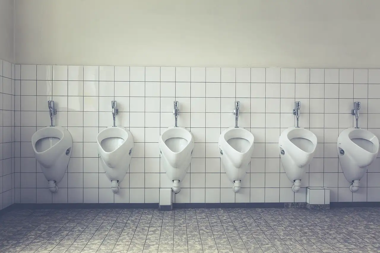 Hoeveel Skibidi Toilet Sigmas Bestaan Er Eigenlijk?