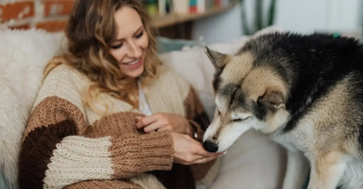 Kunnen jullie ook leuke artikelen over honden maken?