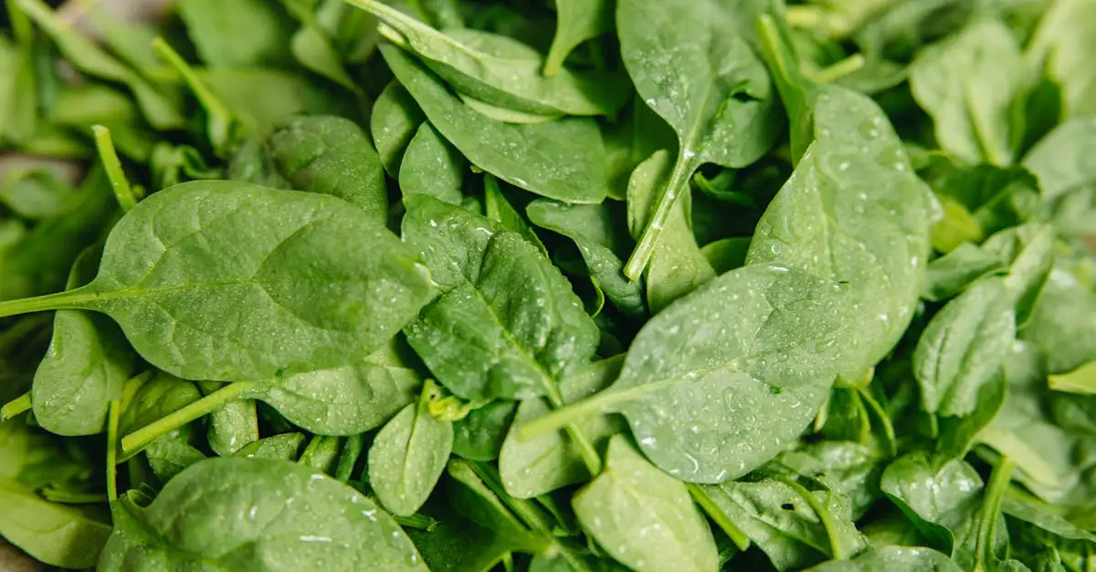 Vitamine K: waar is dat goed voor? Ontdek de voordelen nu!