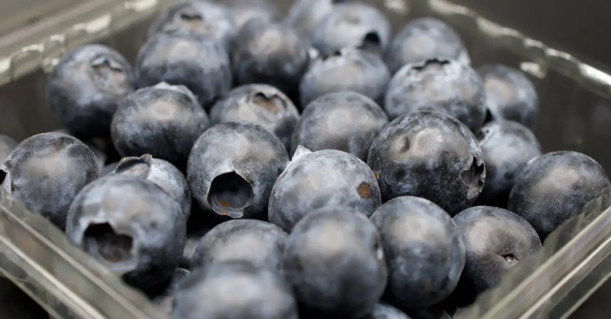 Waar is blauwe bessen goed voor? Ontdek de gezondheidsvoordelen!