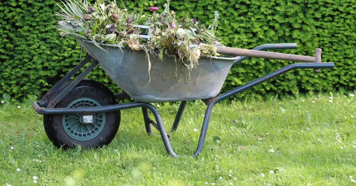 Waar is compost goed voor? Ontdek de voordelen en tips!
