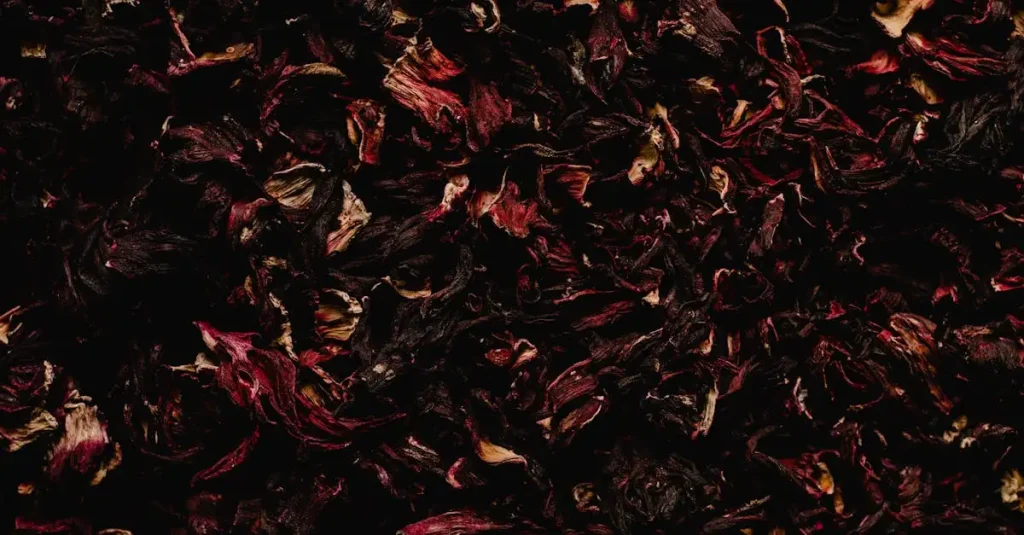 Waar is hibiscus goed voor? Ontdek de voordelen en toepassingen!