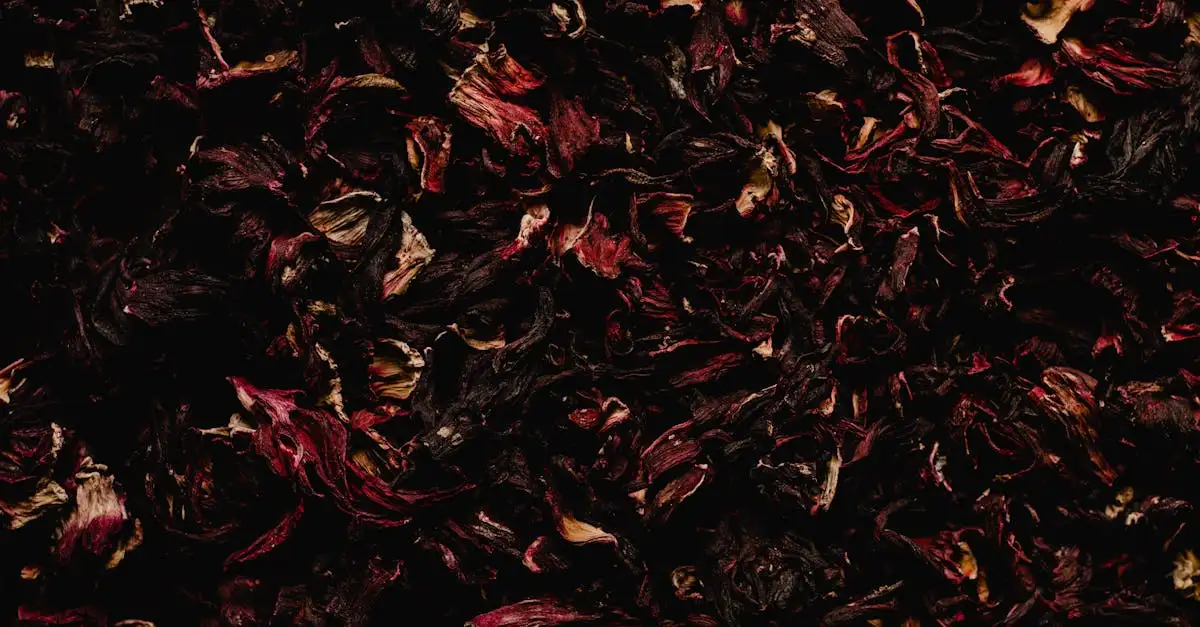 Waar is hibiscus goed voor? Ontdek de voordelen en toepassingen!