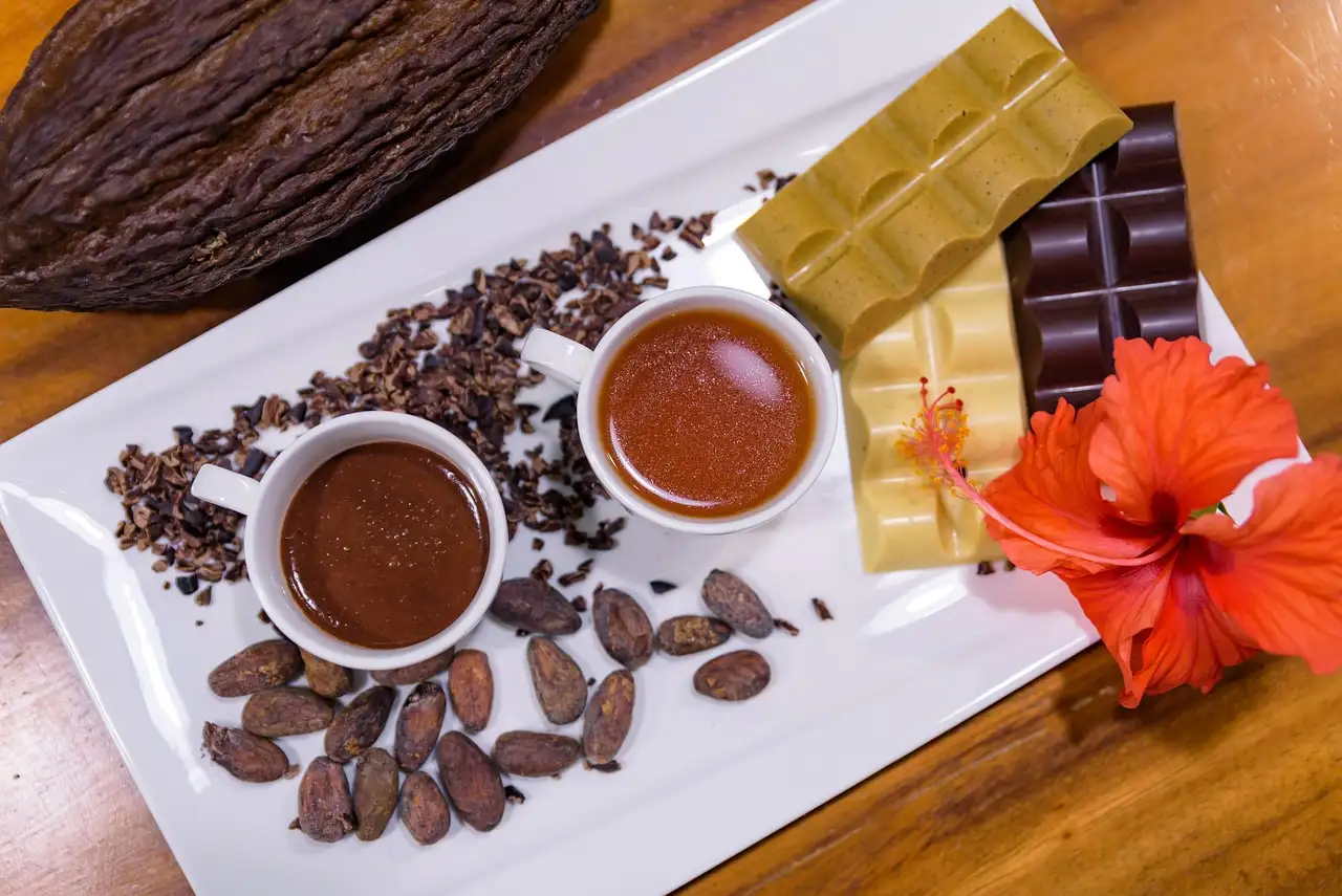 Waar is rauwe cacao goed voor? Ontdek de voordelen en toepassingen!