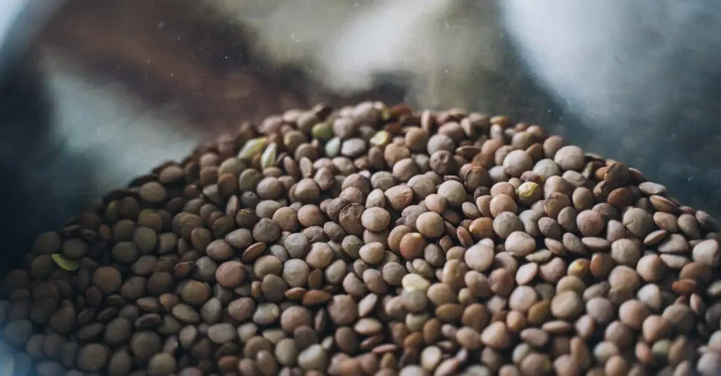 Waar zijn linzen goed voor? Ontdek de vele gezondheidsvoordelen!