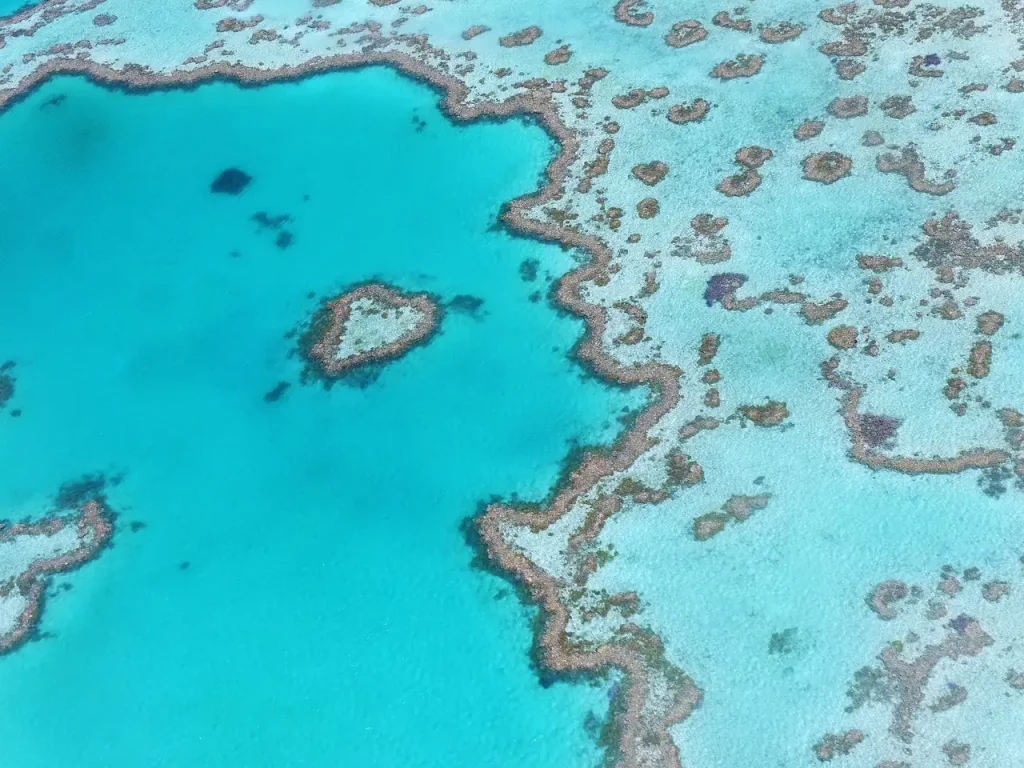 Waarom is het Great Barrier Reef zo prachtig?