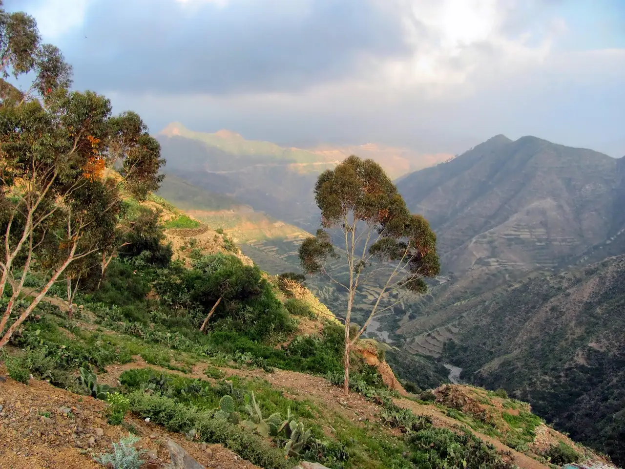 Wat is de betekenis van 'Entay eyu abe Eritrea baelu hasab amxina'?
